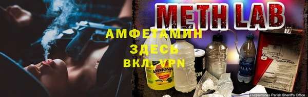 гидра Алексеевка