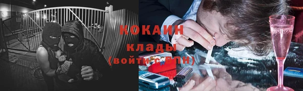 ГАЛЛЮЦИНОГЕННЫЕ ГРИБЫ Алзамай