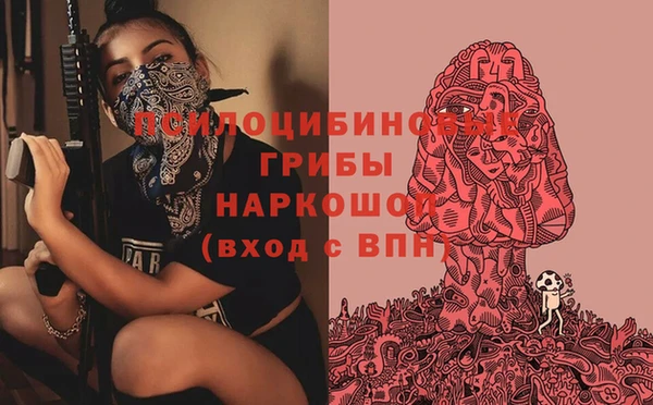 ГАЛЛЮЦИНОГЕННЫЕ ГРИБЫ Алзамай