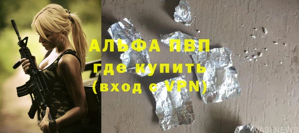 гидра Алексеевка