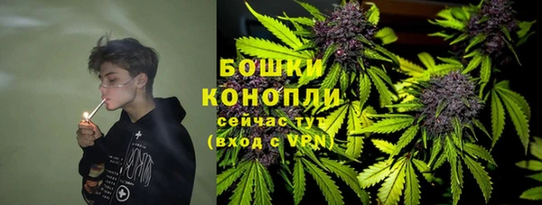гидра Алексеевка