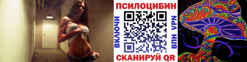 Купить  Махачкала  Псилоцибиновые грибы Magic Shrooms 